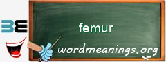 WordMeaning blackboard for femur